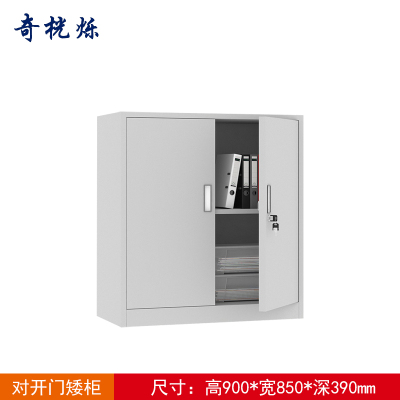 奇桄烁文件柜矮柜对开门台