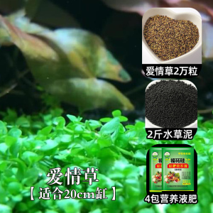 [补贴10%]鱼缸水草种子生态造景套餐植物种籽孑水培阴性真草盆栽装饰牛毛