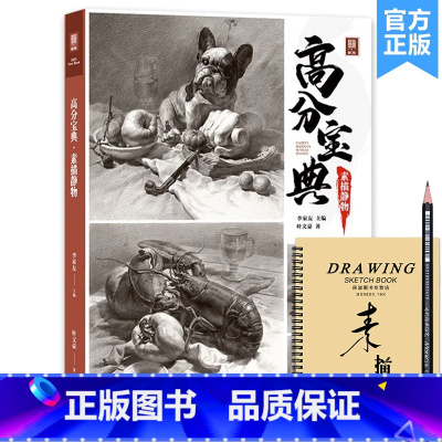 [正版]高分宝典素描静物 2023敲门砖叶文豪
