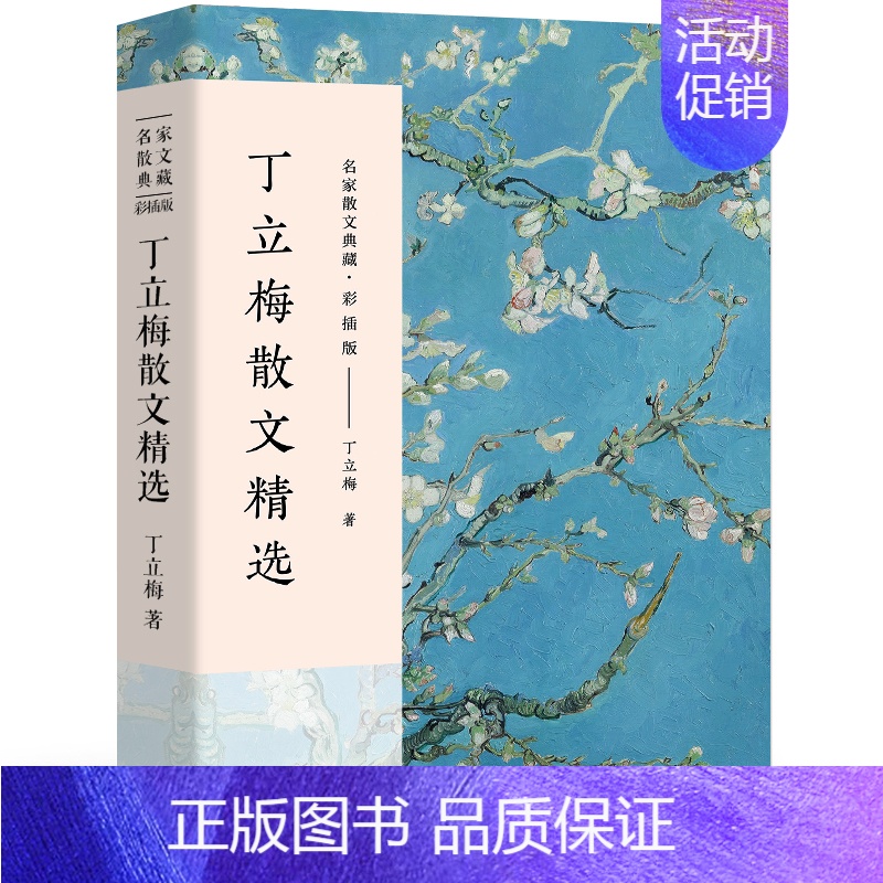 [正版]丁立梅散文集 丁立梅的书经典散文精选小说文集名家作品书籍比时光更坚强清欢捡得一颗欢喜心让梦想拐个弯初中长江文艺出