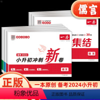 [考卷大集结]语文+数学+英语 小学升初中 [正版]2024小升初考卷大集结冲刺新卷语文数学英语小学毕业升学总复习资料专