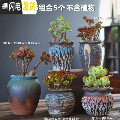 三维工匠手造多肉花盆大粗陶透气复古创意个性老桩肉肉植物高盆大口径 DL手造-16组合5个 中等花盆容器