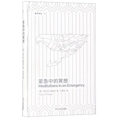 [N]紧急中的冥想(精)/副本译丛-9787541148866