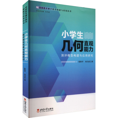 正版新书]小学生几何直观能力测评模型构建与应用研究张和平,宋