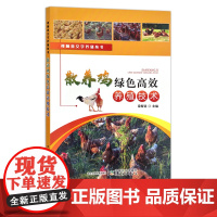视频图文学养殖丛书:散养鸡绿色高效养殖技术 梁智选 30101