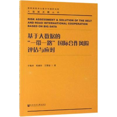 基于大数据的一带一路国际合作风评估与应对/大数据发展丛