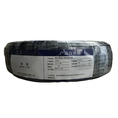 绵缆 铜芯聚氯乙烯绝缘电缆 YJV22-0.6/1kV-2*120 米
