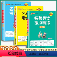 语文 九年级/初中三年级 [正版]2024新版 初中书名著导读考点精练 初中生七八九年级人教版初一初二初三配套阅读理解
