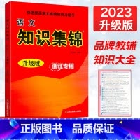 [正版]2023新版超能学典小学语文知识集锦升级版浙江小学生语文基础知识大全123456年级知识精粹集锦小升初语文总复
