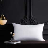 啄木鸟(PLOVER)40*60*10cm酒店羽绒枕-单只 ZMN-ZX004