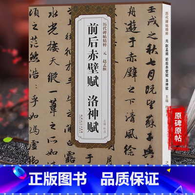 [正版] 历代碑帖精粹 元赵孟頫前后赤壁赋洛神赋 杜浩主编 一辑简体旁注碑帖行书毛笔书法练字帖 安徽美术出版社 图书