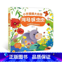 河马捉虫虫[大开本触摸书] [正版]宝宝的第一本触摸书 1岁半立体书宝宝书本撕不烂立体儿童书籍幼儿读物0到2-3岁益智启