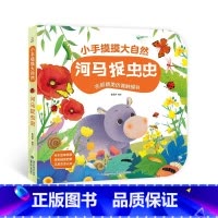 河马捉虫虫[大开本触摸书] [正版]宝宝的第一本触摸书 1岁半立体书宝宝书本撕不烂立体儿童书籍幼儿读物0到2-3岁益智启