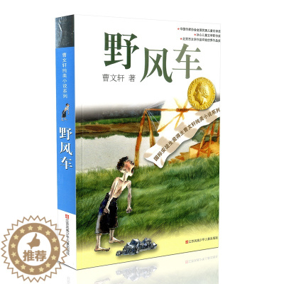 [醉染正版]野风车/曹文轩纯美小说系列 小学生三四五六年级小学语文暑期开学季阅读书籍 青少年读物小学生课外阅读故事书儿童