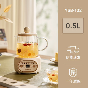 小南瓜迷你养生壶小型办公室家用多功能保温养生杯煮茶壶团购礼太极扇