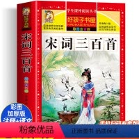 [彩图注音]宋词三百首 [正版]同步音频成语故事大全小学生版加厚彩图注音版 成语接龙儿童绘本中华中国成语故事 一年级二年