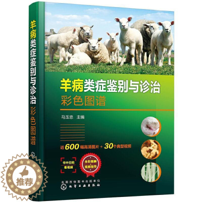 [醉染正版]正版 羊病类症鉴别与诊治彩色图谱(精)9787122380364 马玉忠化学工业出版社农业、林业羊病鉴别