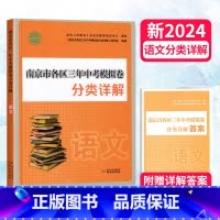 [正版]2024南京市各区三年中考模拟卷分类详解 语文 初中语文中考复习资料 南京市中考模拟真题卷 好家长杂志南京出