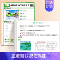 二升三看图写话衔接+看图写话练习 [正版]看图写话一二年级专项训练人教说话填空字帖上册语文同步练字帖小学生大全本子练习纸