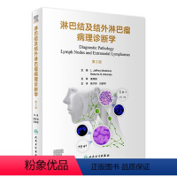 [正版]淋巴结及结外淋巴瘤病理诊断学 b淋巴细胞喉病理诊断造血系统免疫学良性恶性病变临床病理增生鉴别诊断人民卫生出版社