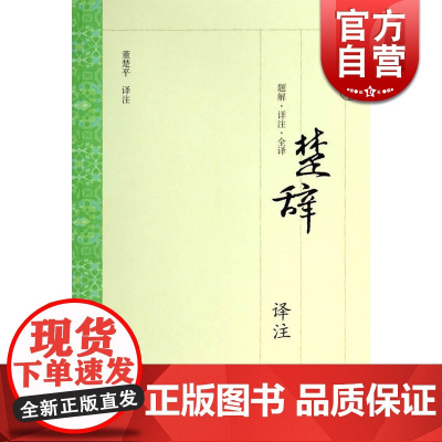 楚辞译注 大开本国学普及书系 董楚平译注 正版书籍 上海古籍出版社