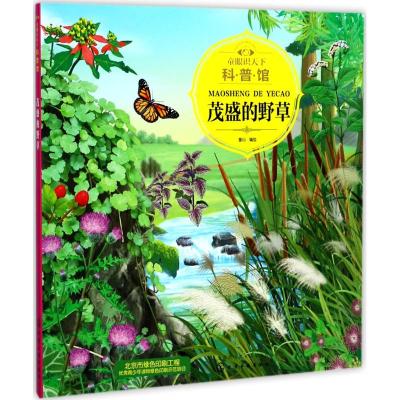 童眼识天下科 普 馆:茂盛的野草