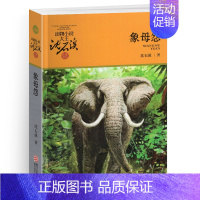 象母怨 [正版]混血豺王沈石溪小学四年级五年级全集全套书浙江少年儿童出版社非注音版完整版动物小说大王品藏书系小学生课外阅