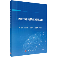 醉染图书电磁法中的数值模拟方法9787030673435