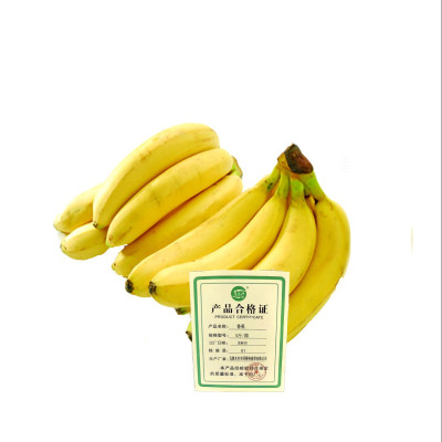 艾提尕香蕉5斤/箱