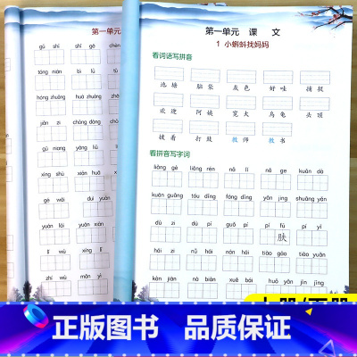 看拼音写词语 二年级上 [正版]2024新 看拼音写词语二年级上册下册语文专项组合训练小学2年级下生字注音汉字字词句子强