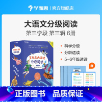 [正版]大语文分级阅读第三辑第三学段 共6本 5-6年级适用 小学生课外书籍 一千零一夜 金银岛 雾都孤儿 彼得·潘