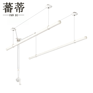 蕃蒂