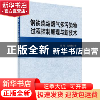 正版 钢铁烧结烟气多污染物过程控制原理与新技术 甘敏,范晓慧 科