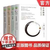 套装 正念地活+正念疗愈的力量+觉醒 在日常生活中练习正念+正念之道 全4册 机械工业出版社