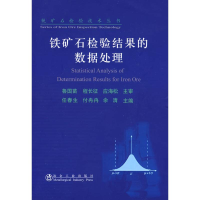 音像铁矿石检验结果的数据处理/任春生任春生 付冉冉 余清