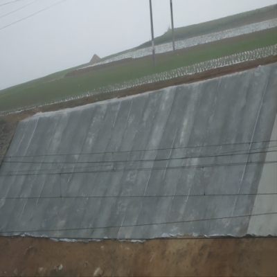 CXM 蔡晓民 XIAO MIN CAI+复合卷材+3h速凝(军用型)FHjj1-10-5+平方米