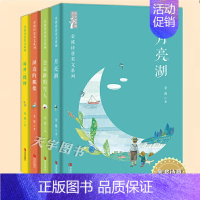 金波诗意美文系列 [正版]YS 金波诗意美文系列全套4册 月亮湖+湖边的雕像+会走路的雪人+面对一棵树 王金波四季文学散