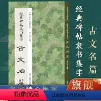 [正版]经典碑帖隶书集字古文名篇 收录古时流传下来隶书经典碑帖集字成古文名篇11篇广大书法爱好者创作参考 中国历代经典