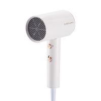 荣事达电吹风RC-210A