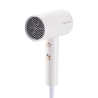 荣事达电吹风RC-210A