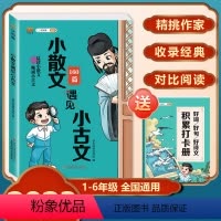 小散文遇见小古文 小学通用 [正版]小散文遇见小古文 一二三四五六年级语文晨读晚颂160篇小学通用好词好句好诗文阅读训练