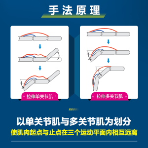 [M]基于运动功能的选择性拉伸 上肢-9787115578389
