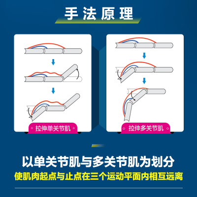 [M]基于运动功能的选择性拉伸 上肢-9787115578389