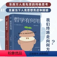 [正版]出版社哲学有何用+智慧与哲学全2册东西方两大哲学阵营跨越千年的史诗对话直面当下人类思想焦虑和困惑人类先贤思考