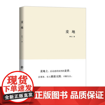 麦地 钟文 长江文艺出版社 正版书籍