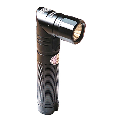 立华王LH3100E手电