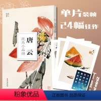 [正版]唐云花鸟小品册南山册页 大8开单片高清印刷 历代名家册页鉴赏临摹画册 初学者绘画中国画水墨画花鸟画技法教程作品