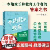 不内耗的教育 何江 28 堂教育课 个人经历 教育理论 实操技巧 家庭教育类书籍 湖南文艺出版社
