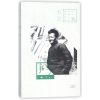 音像新绿/中篇小说名家经典南丁|编者:何向阳|总主编:何向阳