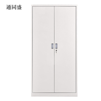 通同盛钢制资料柜档案柜财务凭证柜带锁储物柜铁皮柜书柜铁开门文件柜